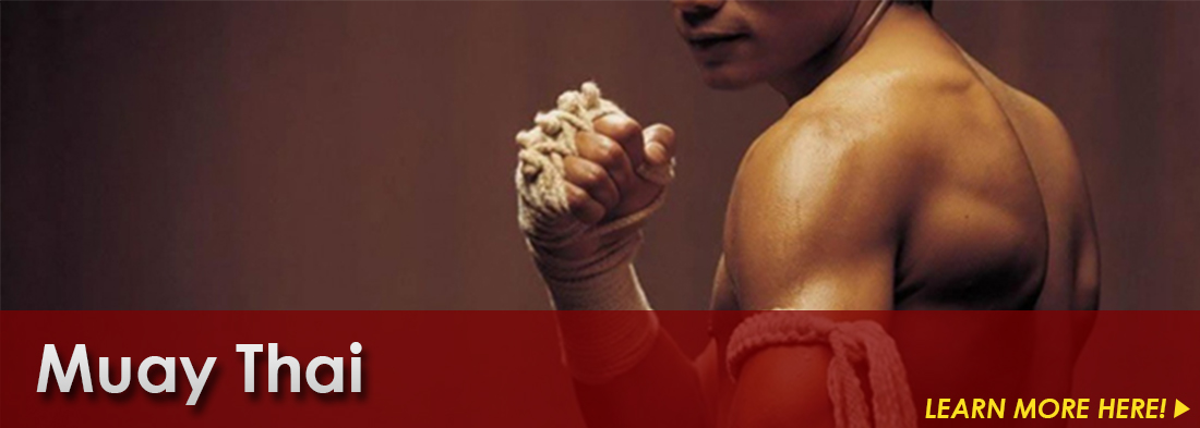 Muay Thai lessons and Muay Thai training in Southfield, Michigan