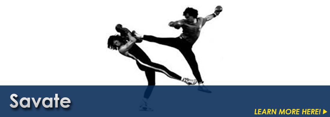 Savate lessons and Savate training in Southfield, Michigan