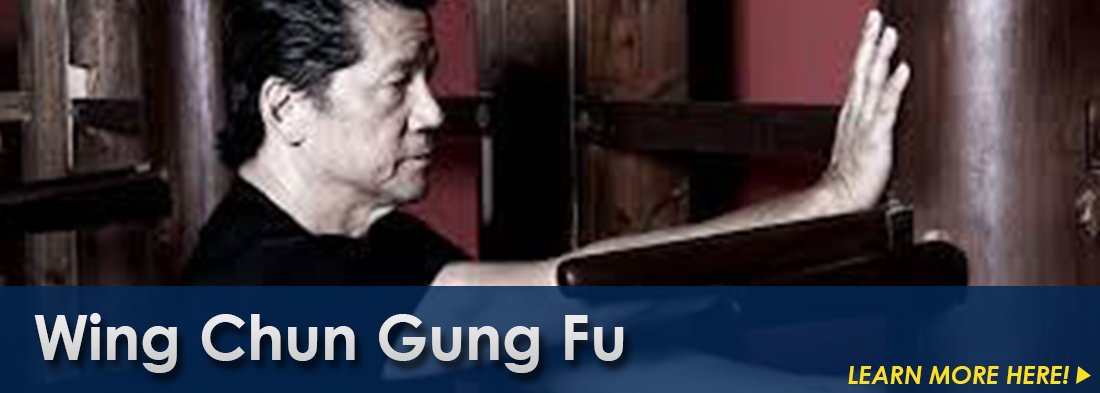 Wing Chun Gung Fu training in Southfield, Michigan